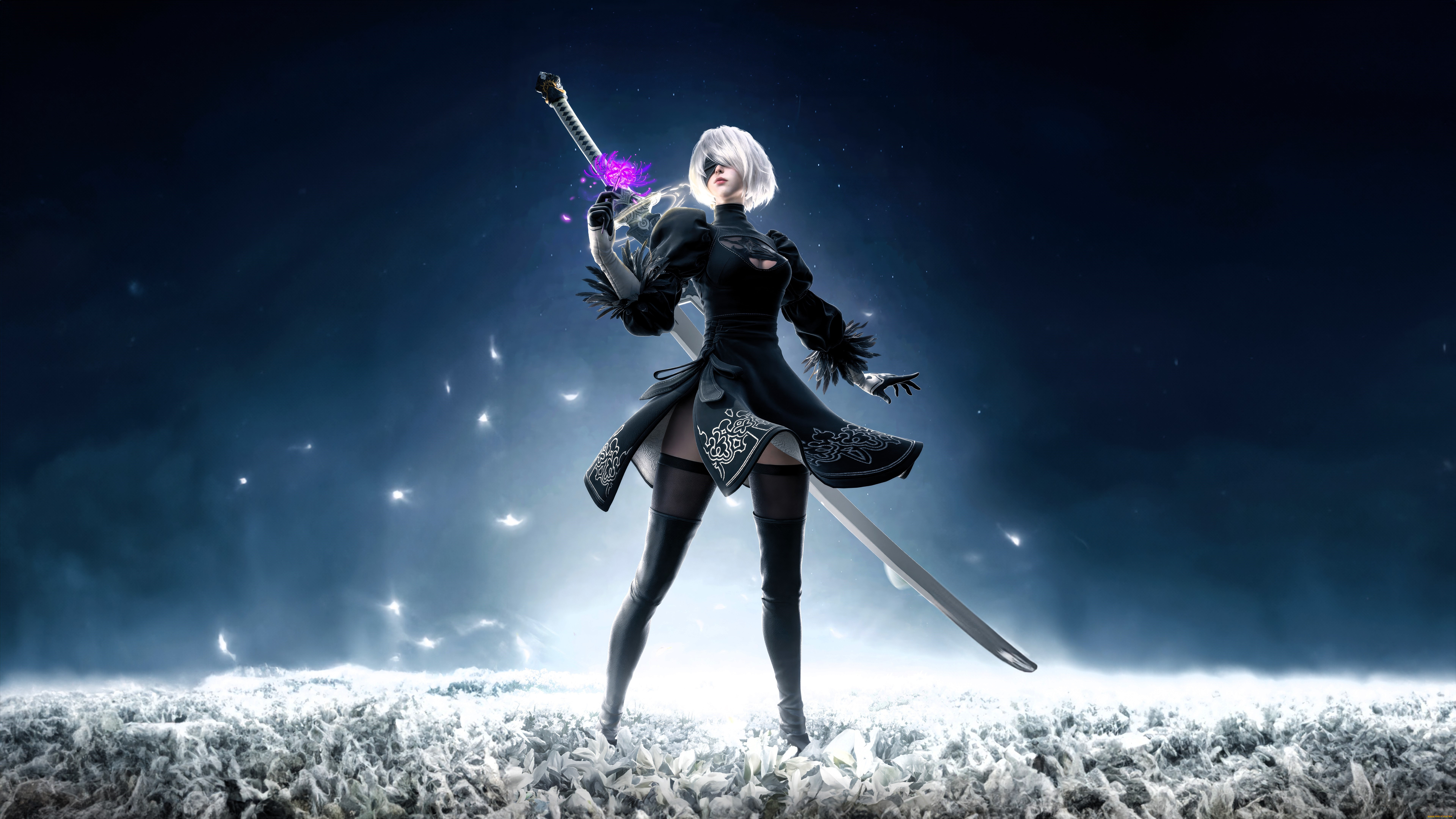  , nier,  automata, 2b, , , , 